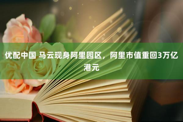 优配中国 马云现身阿里园区，阿里市值重回3万亿港元