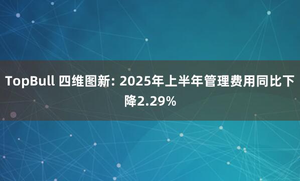 TopBull 四维图新: 2025年上半年管理费用同比下降2.29%