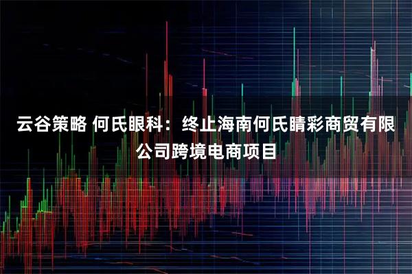 云谷策略 何氏眼科：终止海南何氏睛彩商贸有限公司跨境电商项目