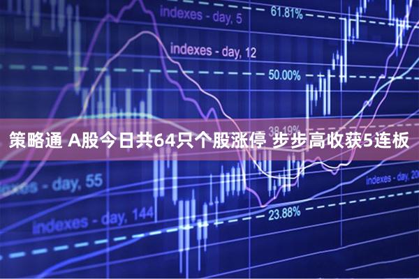 策略通 A股今日共64只个股涨停 步步高收获5连板