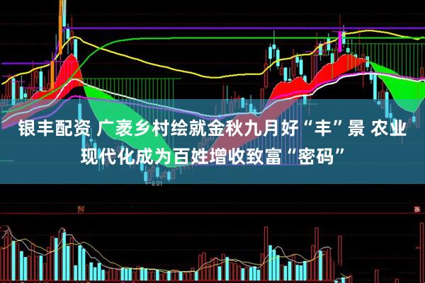 银丰配资 广袤乡村绘就金秋九月好“丰”景 农业现代化成为百姓增收致富“密码”